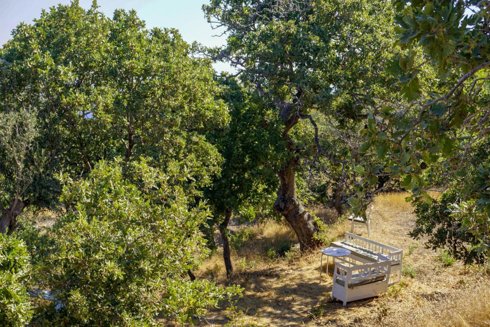 My Old Stone House In A 2 000 Sqm Private Garden With Fab Glamping Tent Mandraki  Exterior photo